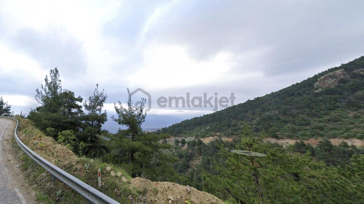 Mihalgazi Alpagut' Ta Satılık Tarla - 6