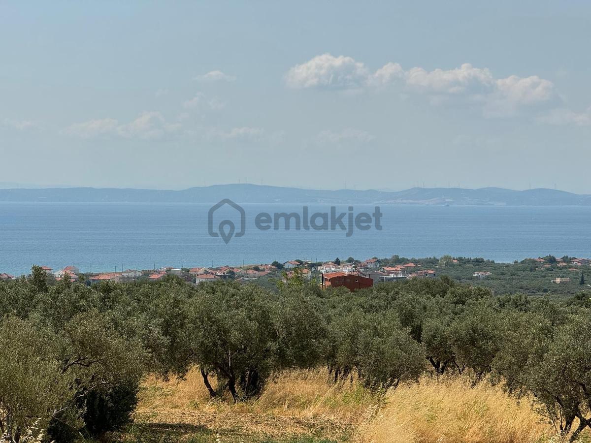 Tekirdağ Şarköy Eriklice Satılık 807 M2 Tek Tapu Tarla - 14