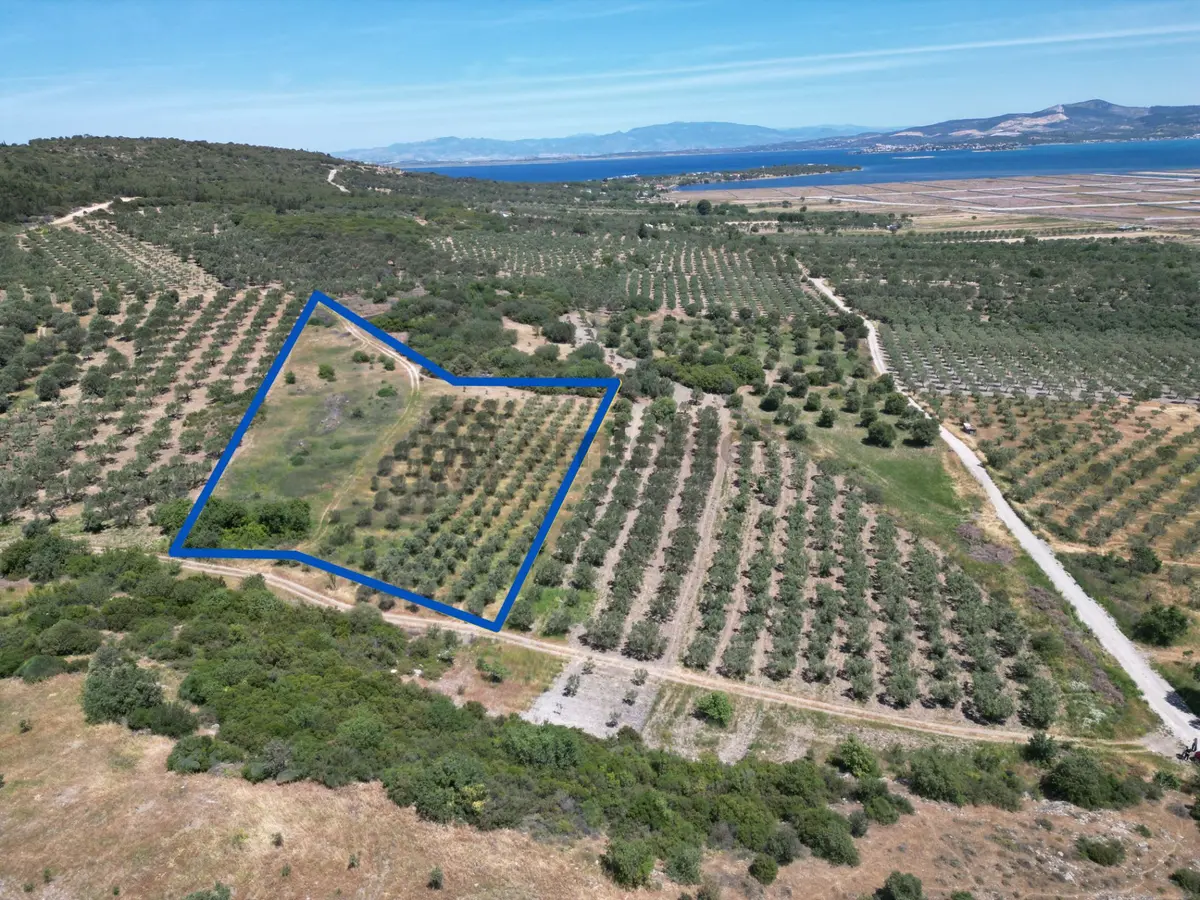 Çaltılıdere'de Kupon Satılık 4000m2 - 3