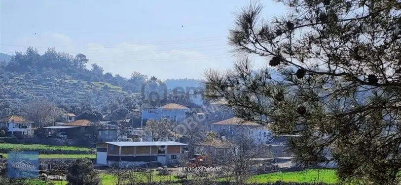 Bodrum Mumcular Yakını Milas Çiftlik Mahallesi - 4