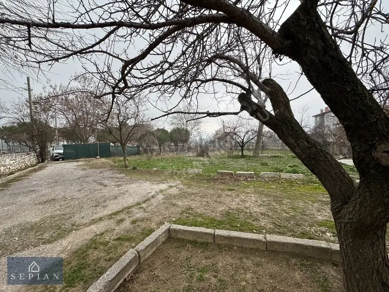 Sepiandan Cankurtaran Da Köy İçinde 1000 M2 Satılık Arsa - 10