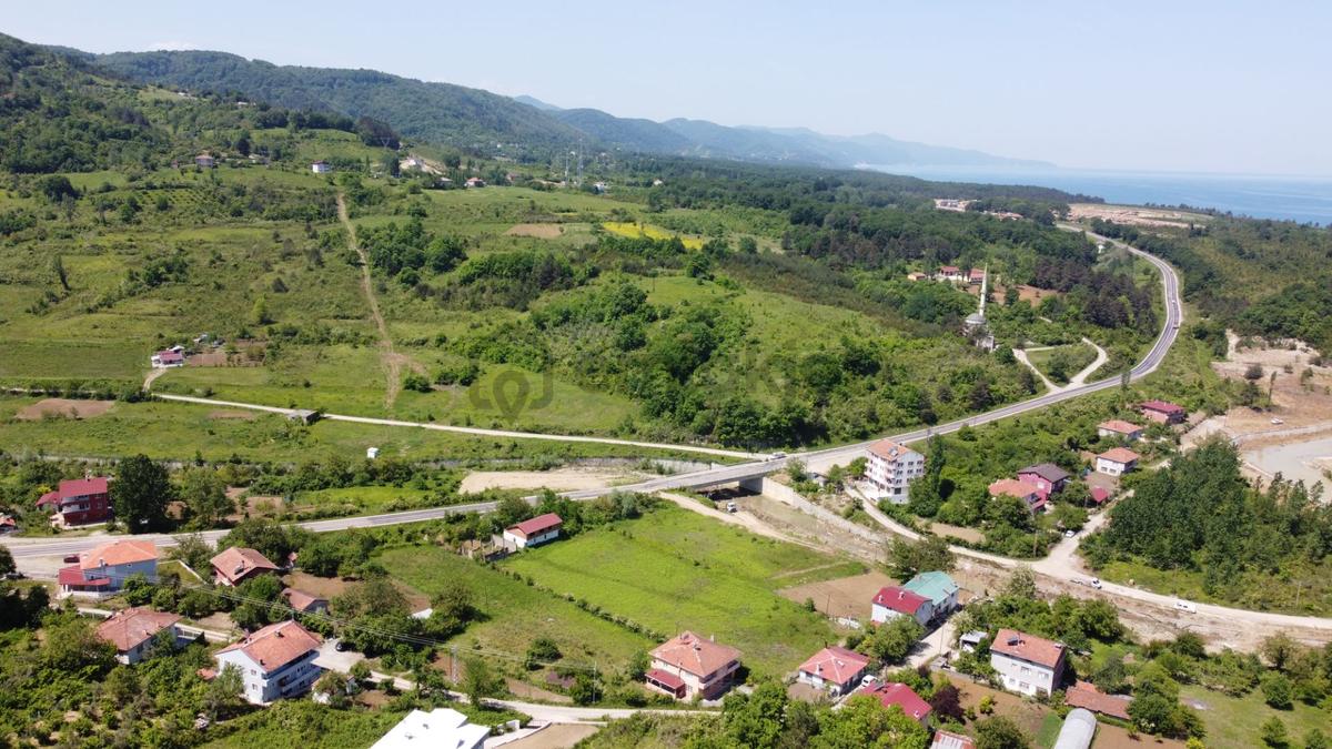 Ayancık Tarakçı Köyü Satılık 2000 M² Tarla - 6