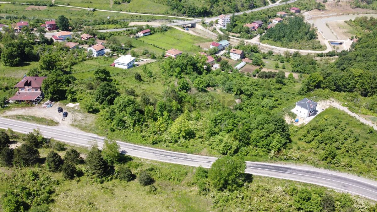 Ayancık Tarakçı Köyü Satılık 5550 M² Tarla - 8
