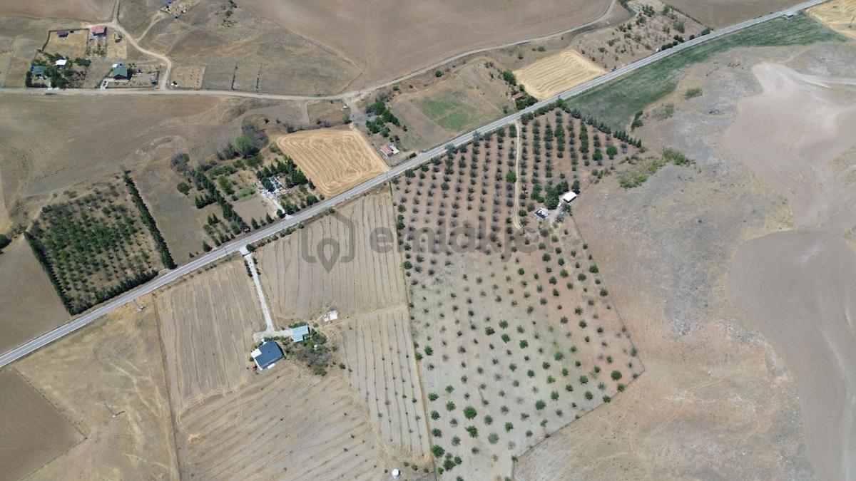Polatlı Kuşcu'da 35.219 M² Yola Cepheli Satılık Tarla - 24