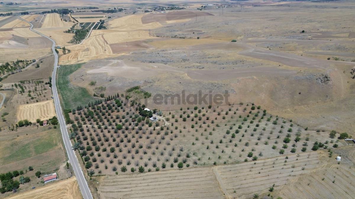 Polatlı Kuşcu'da 35.219 M² Yola Cepheli Satılık Tarla - 33