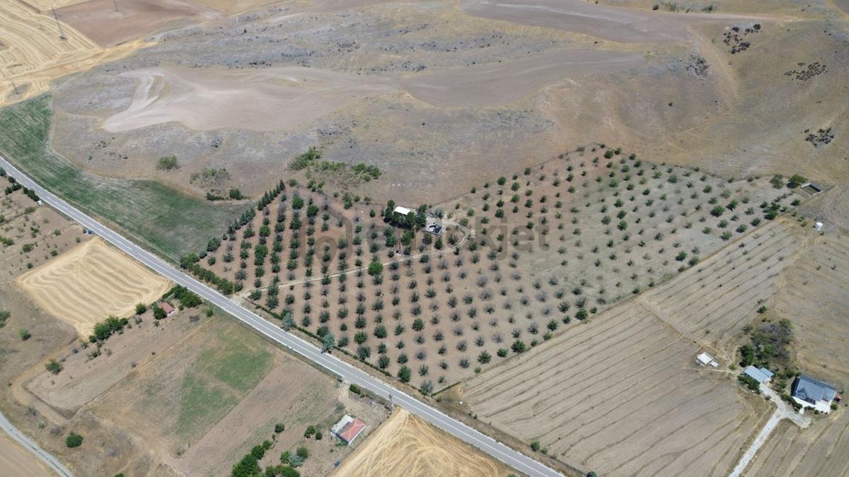 Polatlı Kuşcu'da 35.219 M² Yola Cepheli Satılık Tarla - 31