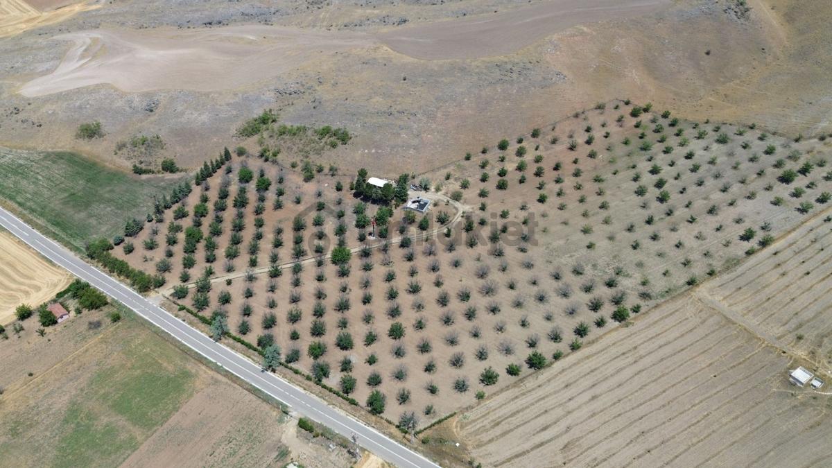 Polatlı Kuşcu'da 35.219 M² Yola Cepheli Satılık Tarla - 32