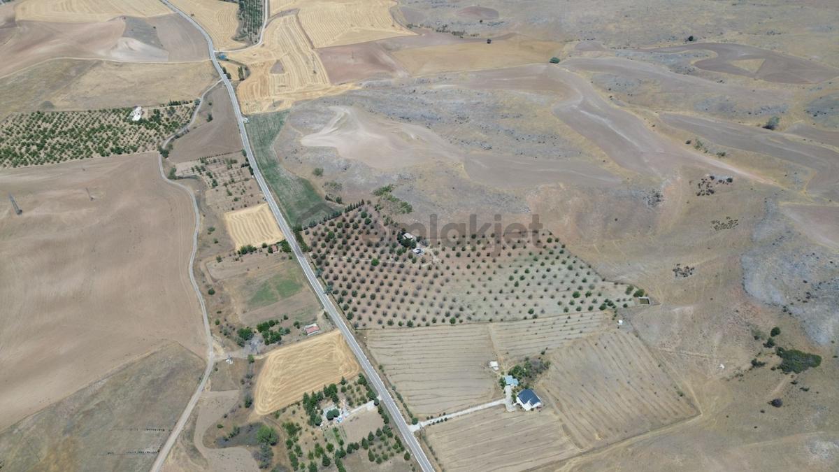 Polatlı Kuşcu'da 35.219 M² Yola Cepheli Satılık Tarla - 29