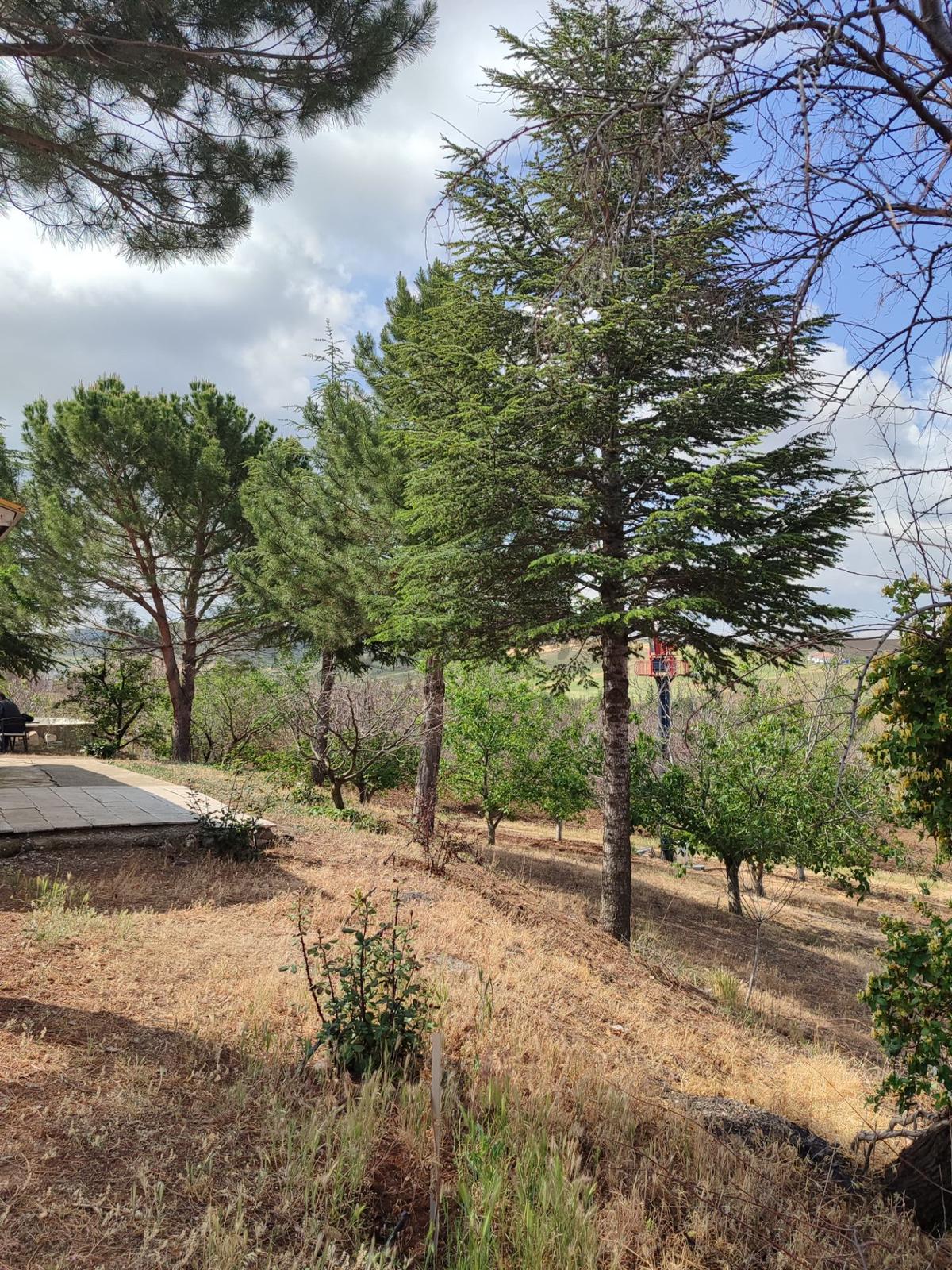 Polatlı Kuşcu'da 35.219 M² Yola Cepheli Satılık Tarla - 15