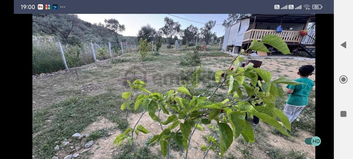 Torbalı Çapak 585 Mk Miras Hisse İçinde Ev Var.
