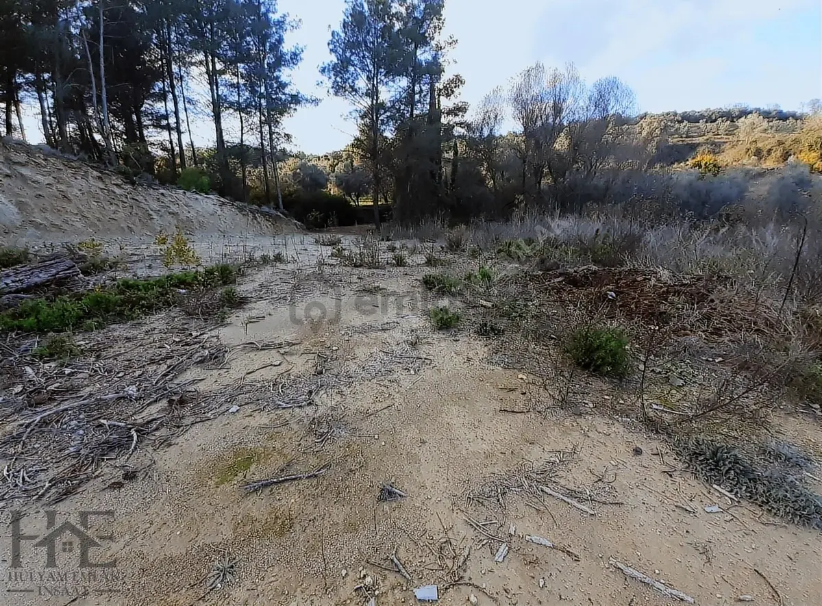 Seydikemer Seydiler'de 2.045 M2 Satılık Arazi - 10