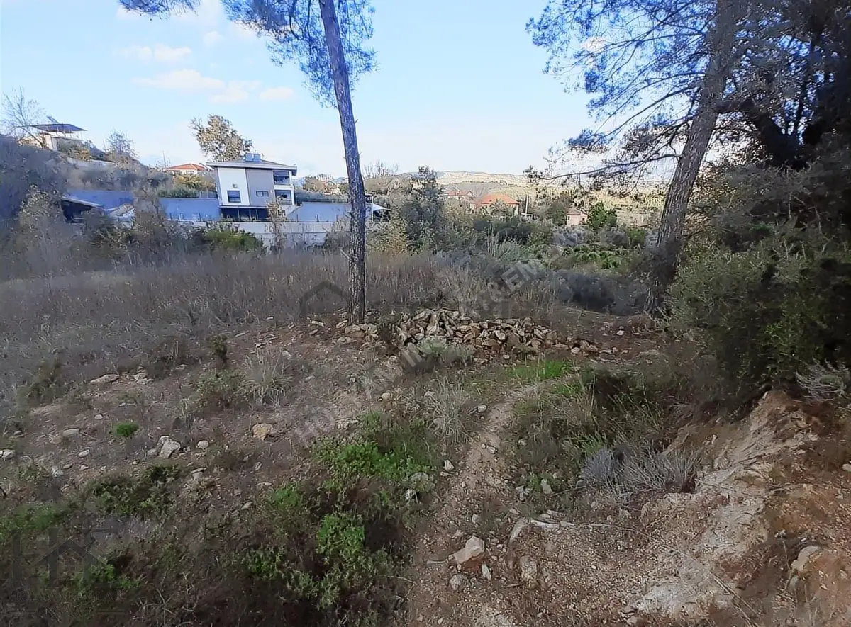 Seydikemer Seydiler'de 2.045 M2 Satılık Arazi - 4