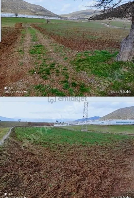 Seydikemer Seki'de Satılık 7230 M² Arazi