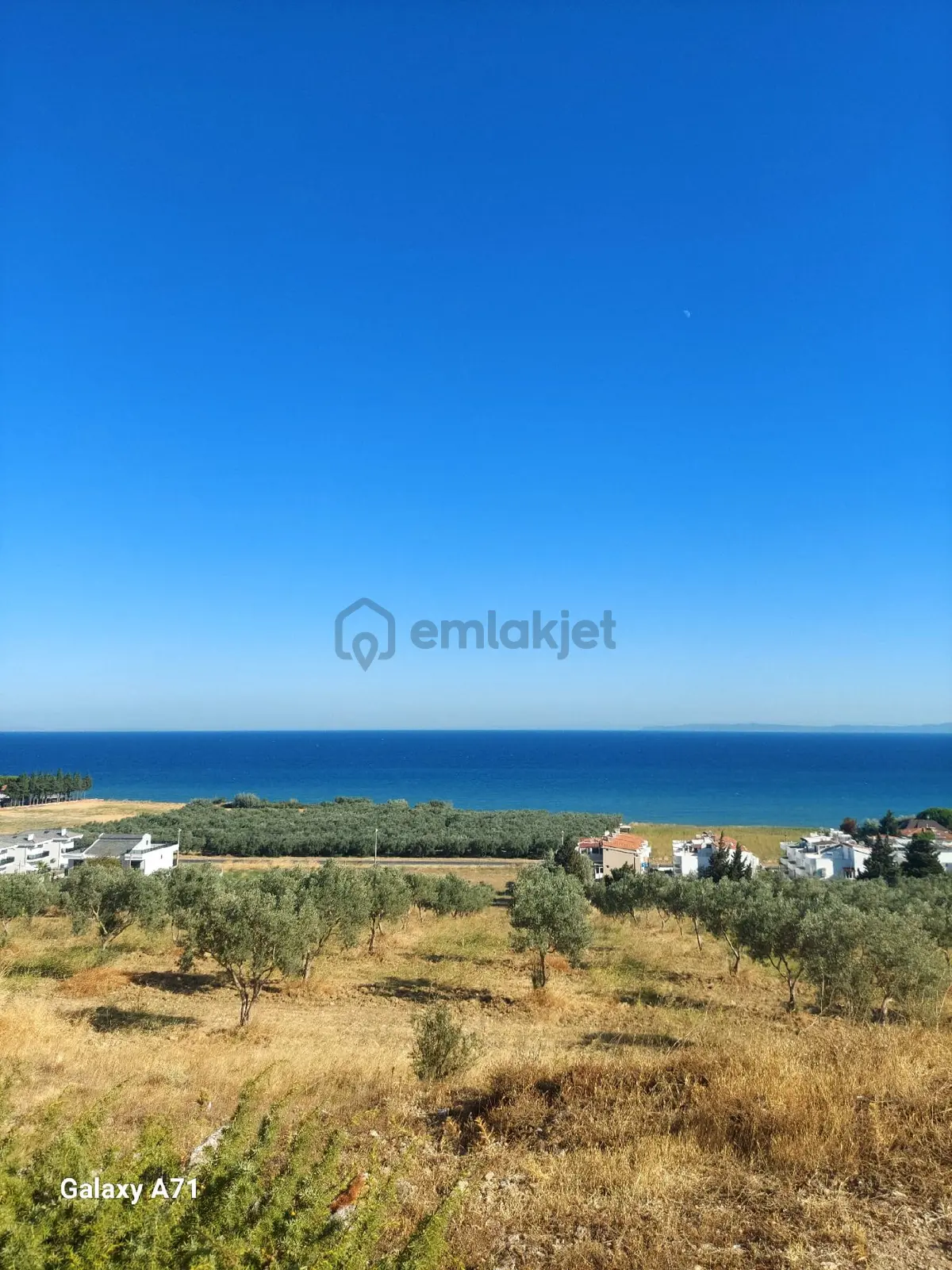 Tekirdağ Şarköy Eriklicede - 2