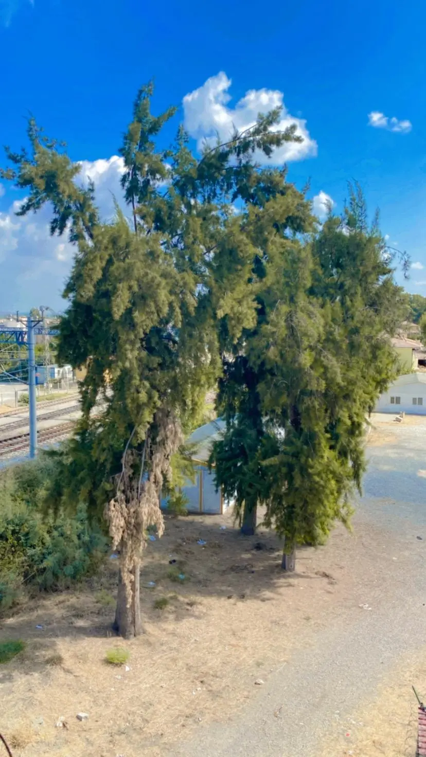 Çerçi Emlak'tan Yenice'de Satılık Daire - 11