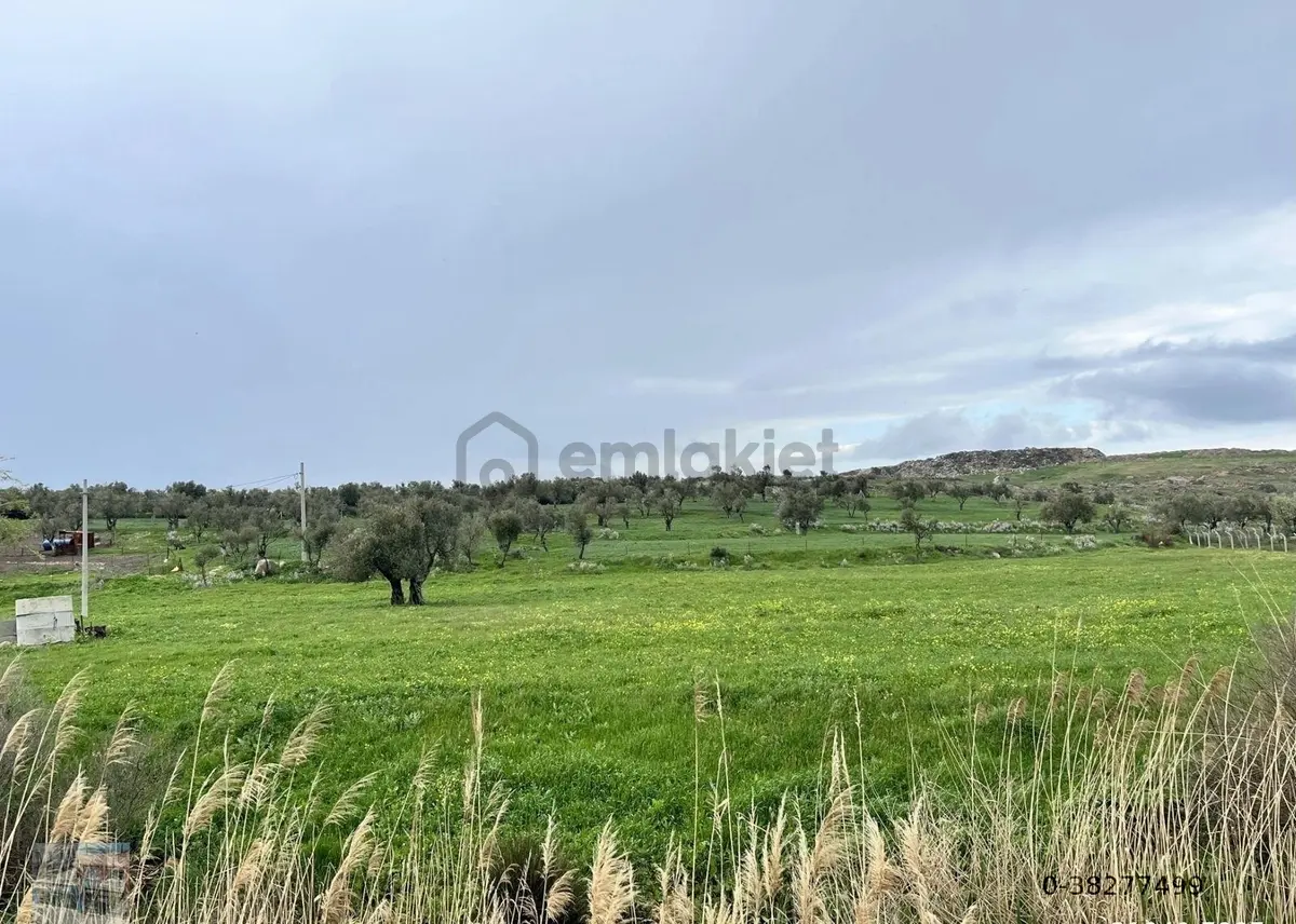 Balıkesir Ayvalık Ta Satılık 46 Donum Arsa - 8