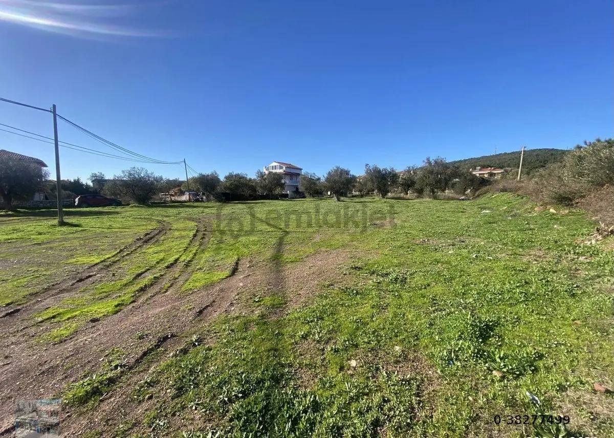 Ayvalık Cunda Da Satılık 3479 Metre Kare Arsa - 9