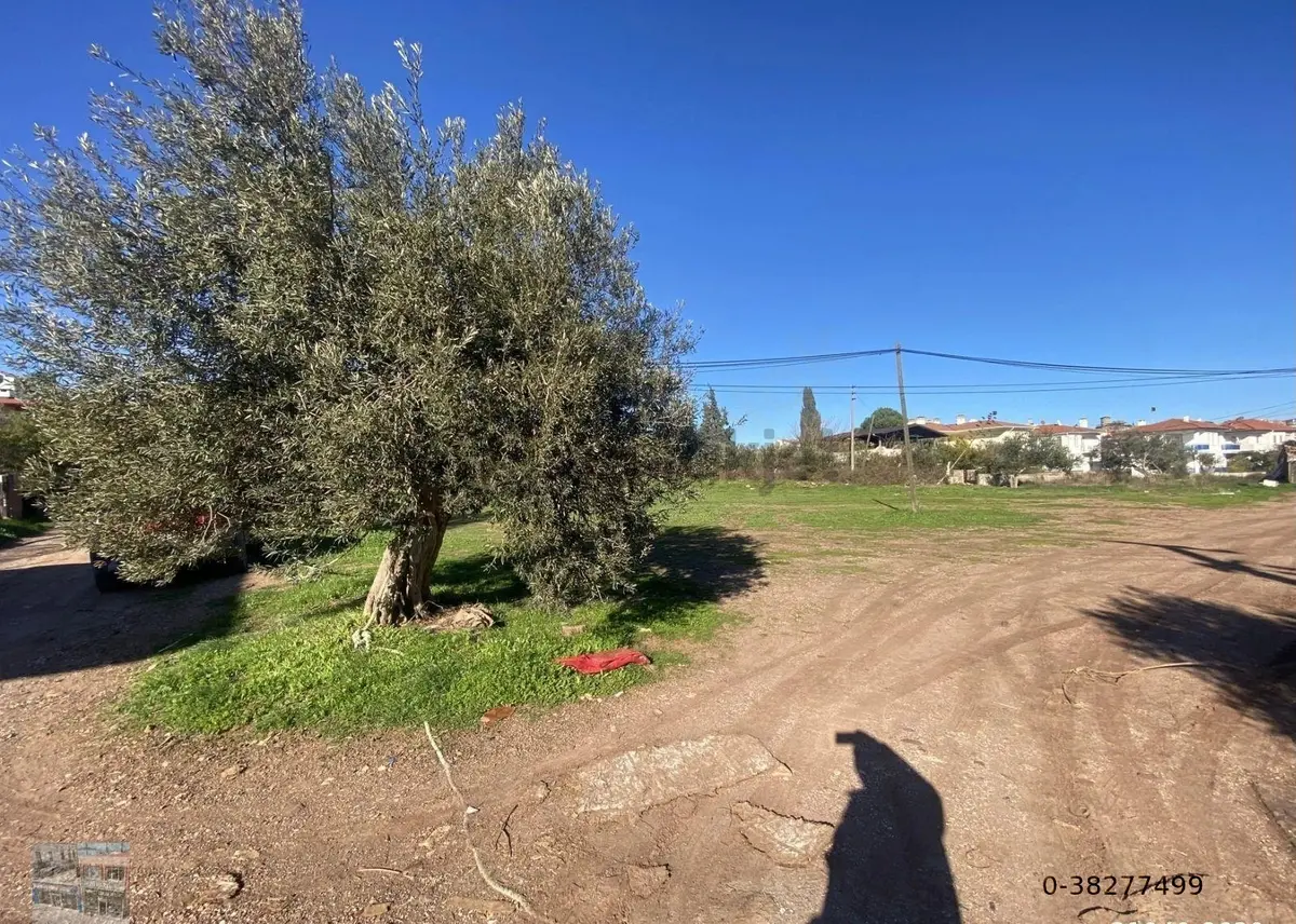 Ayvalık Cunda Da Satılık 3479 Metre Kare Arsa - 3
