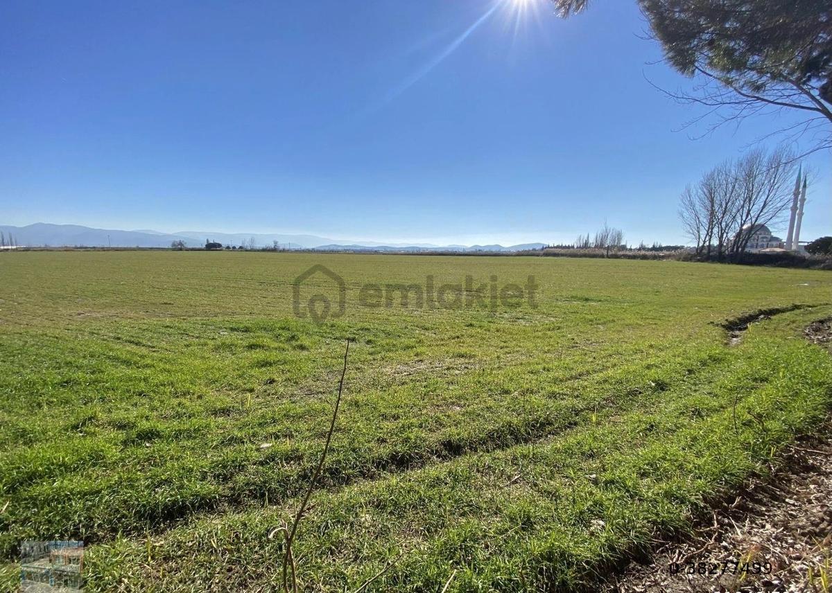Balıkesir Burhaniye De Satılık 75 Donum Arsa.imara Bitişik - 8