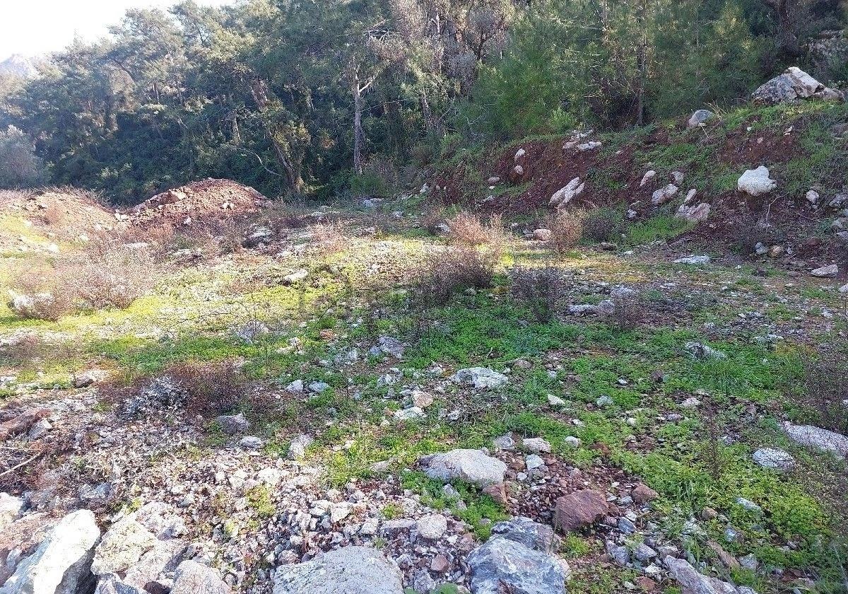 Orhaniye Güneş Emlaktan Fuul Denize Manzaralı Tarla - 2