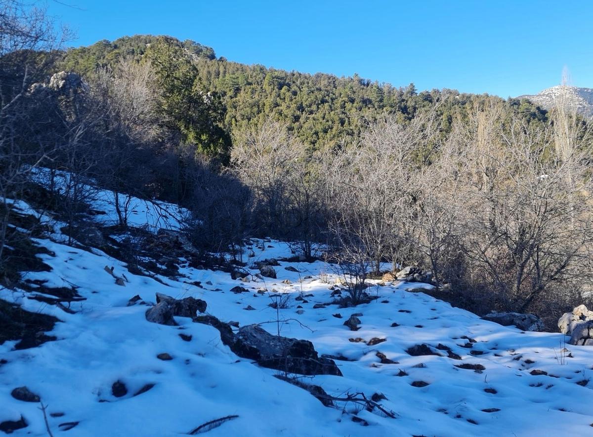Bayir Mh.16380 M2 Satılık Tarla. - 8