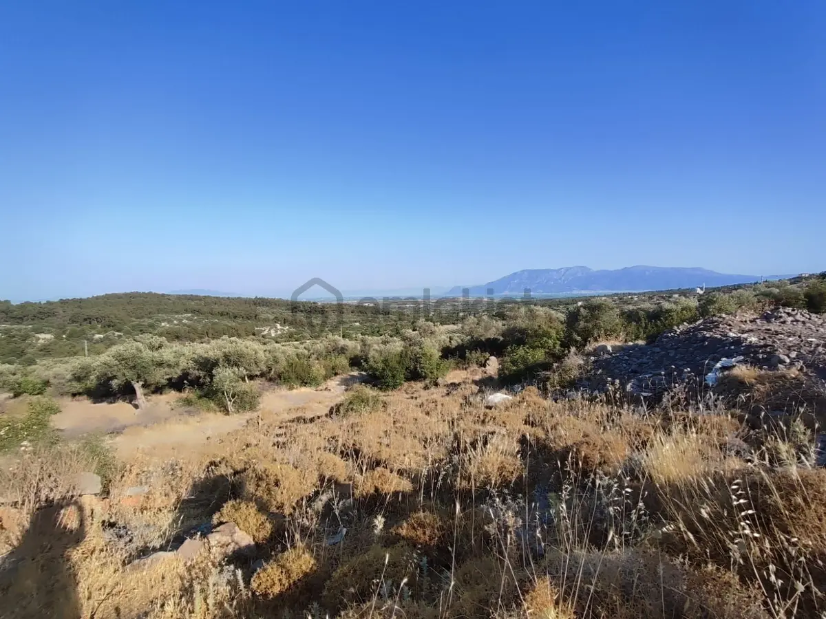 Satılık Tarla Manisa Kale Köyünde 9050 M2 - 8
