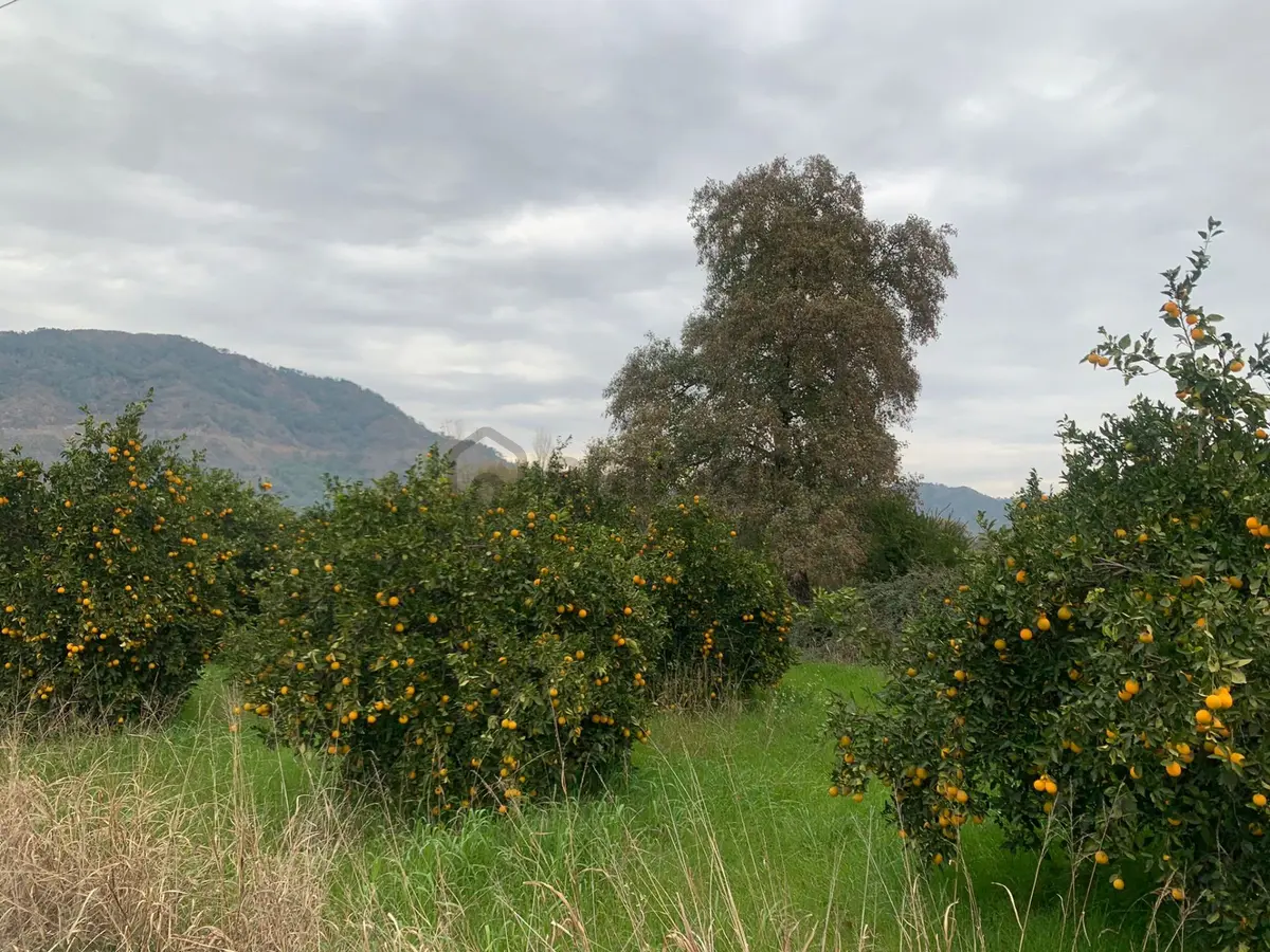 Ortaca Ekşiliyurtda 1084 M2 İmarlı Kelepir Arsa Satılık - 6