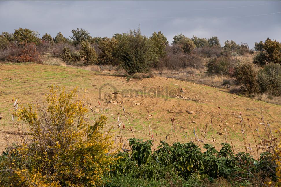 İzmir Kiraz'da Satılık Arsa - 7