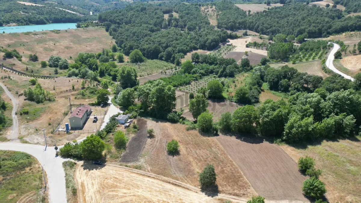 Kocaeli Karamürsel Çamdibi Satılık 2293 M2 Tarla - 6