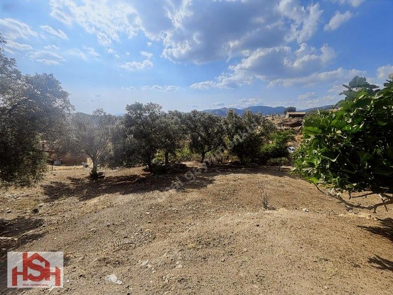 Satılık İmarlı Arsa: 540 M², Ödemiş'e 15dk, Konut İmarlı - 9