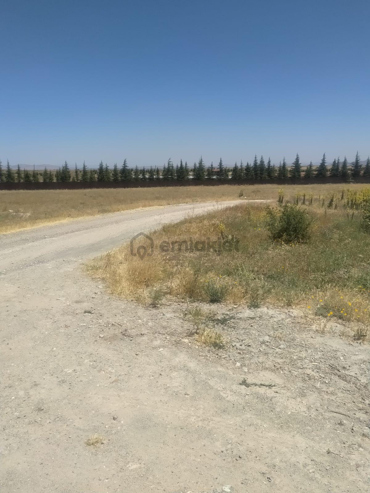 M-88 Taşlıkköy Mahallesi Satılık Çiftlik - 4