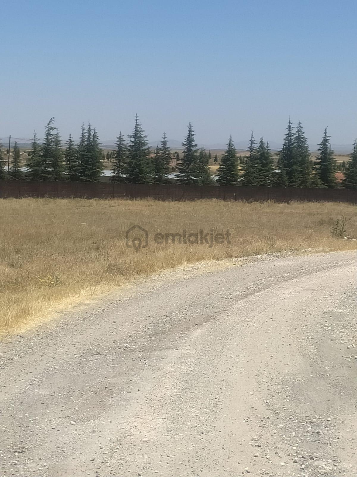 M-88 Taşlıkköy Mahallesi Satılık Çiftlik - 5