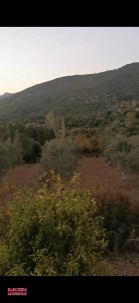 Fethiye Çenger Mah.ilkon'dan Satılık Tarla - 6