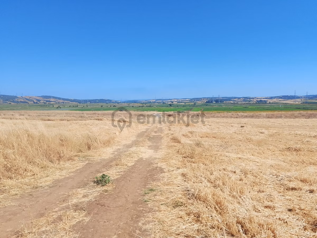 Çanakkale Biga Bekirli Mahallesinde Satılık Tarla Yatırım İçin Uygun