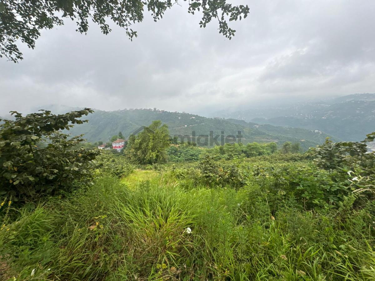 Trabzon Ortahisar'da Satılık Arazi - 25