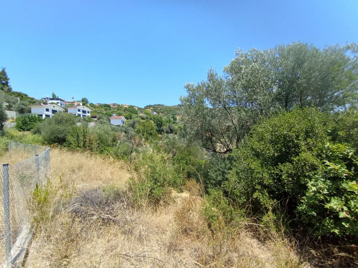 Sederihisar Orhanlı Tek Müstakil Tapu 1920 M2 - 6