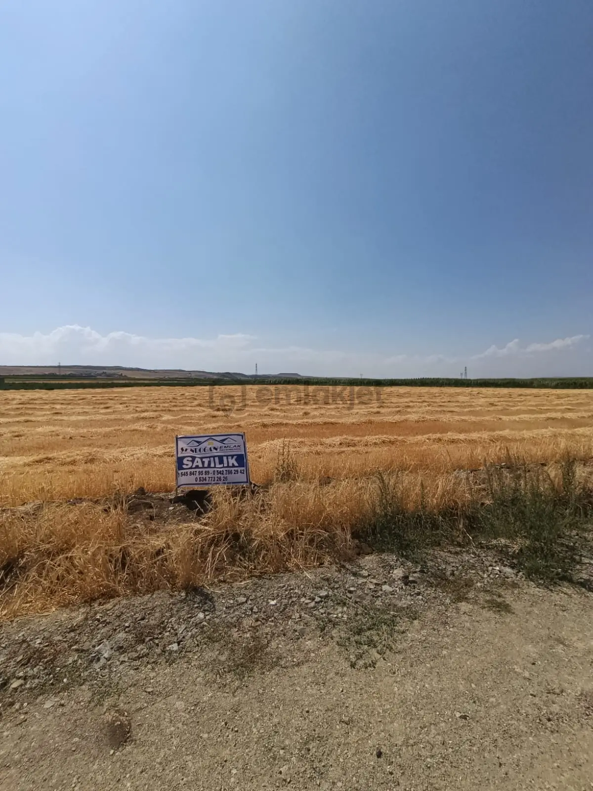 Turgutlarda Satılık Tarla - 5