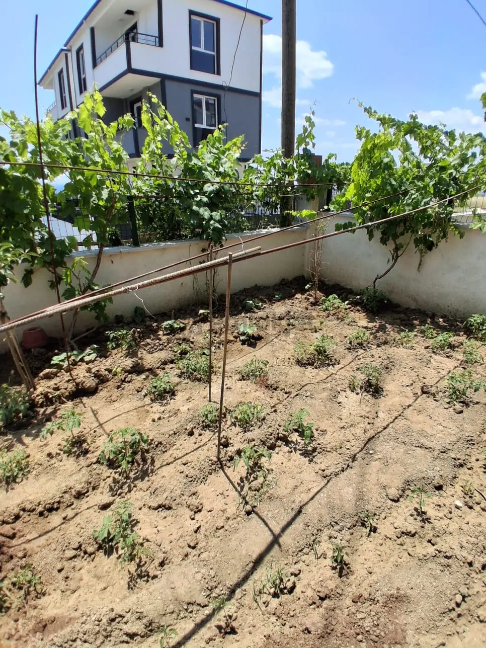 Tekirdağ Marmara Yeniçiftlikte Satılık 4+1 Villa - 30