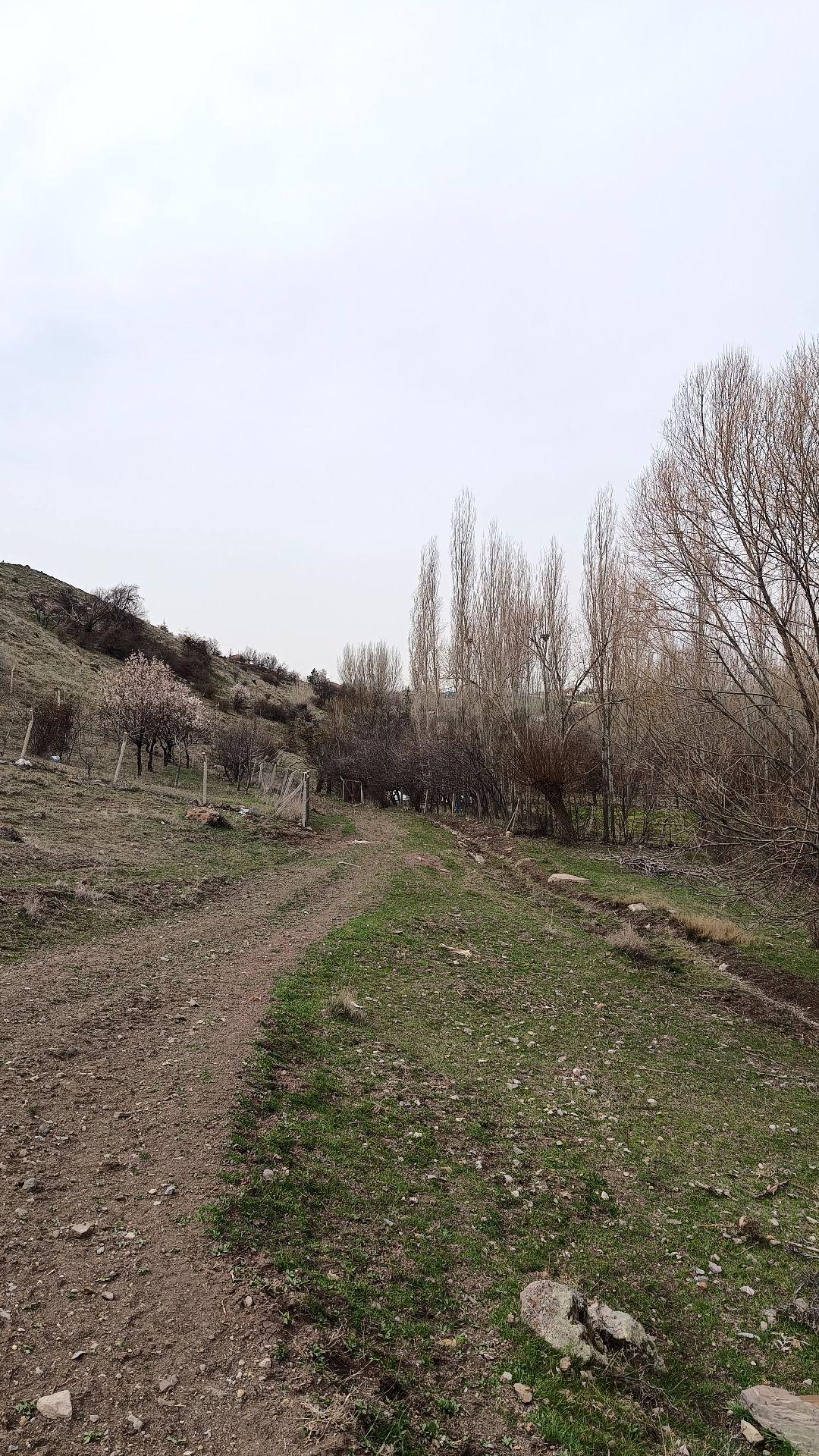 50 M2 Bahçe Yapımına Uygun - 12