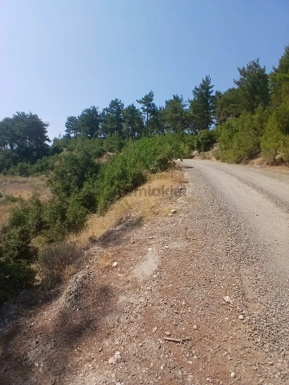 Lapseki Umurbey Yola Cephe 6 Dönüm Tarla - 5