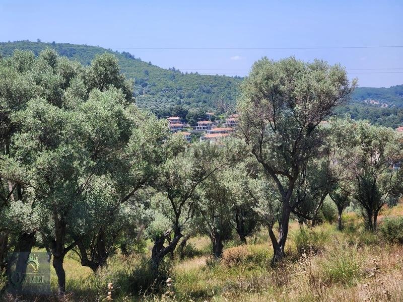 Güzelbahçe Çamlı'da Satılık 77.703m² Arazi - 28