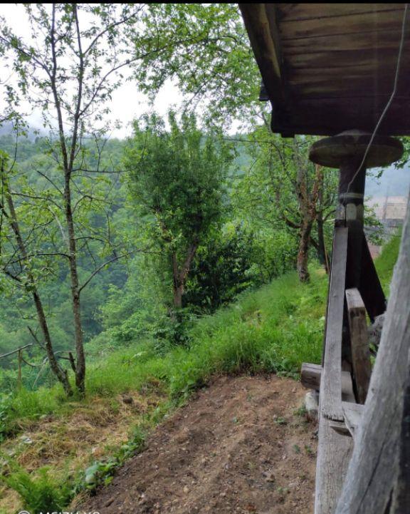 Sahibinden Acil Satılık Fındık Tarlası - 8