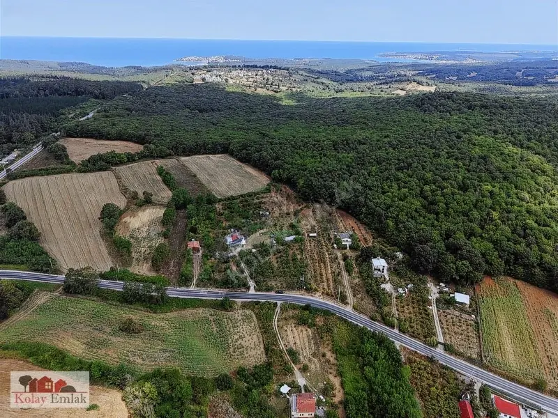 Kocaeli Kerpede Asfalt Cephe Satılık 1.025m2 Tarla - 11