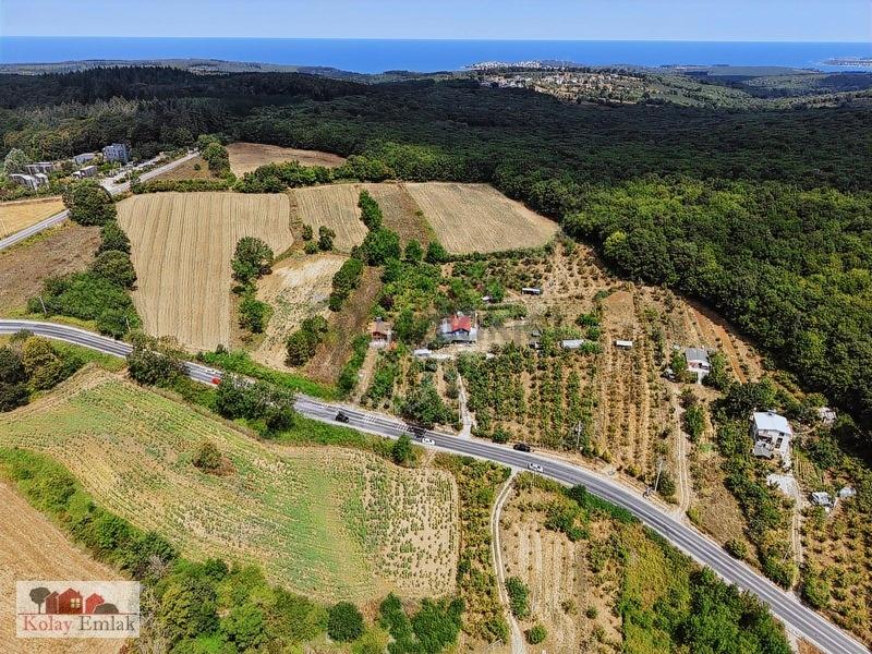 Kocaeli Kerpede Asfalt Cephe Satılık 1.025m2 Tarla - 3