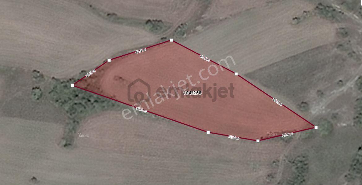 Körfez Ali Hocalar Satılık 5.100m² Arsa - 2