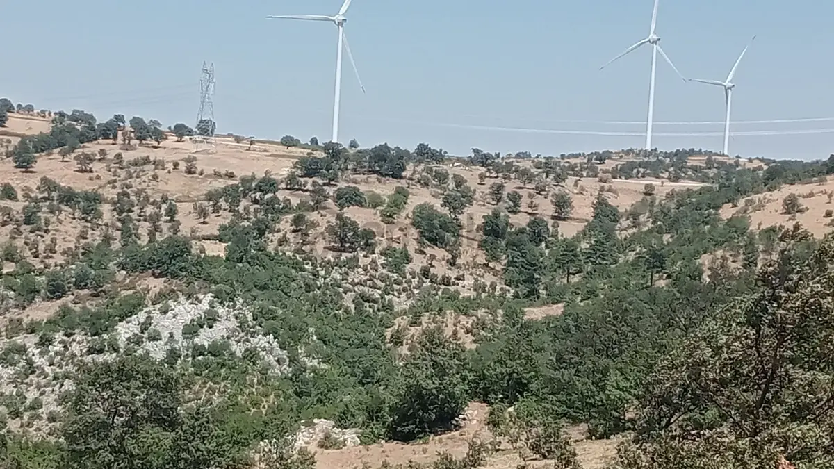 Komutanemlaktan Durmuşlarda 8 Dekar Tarla - 5