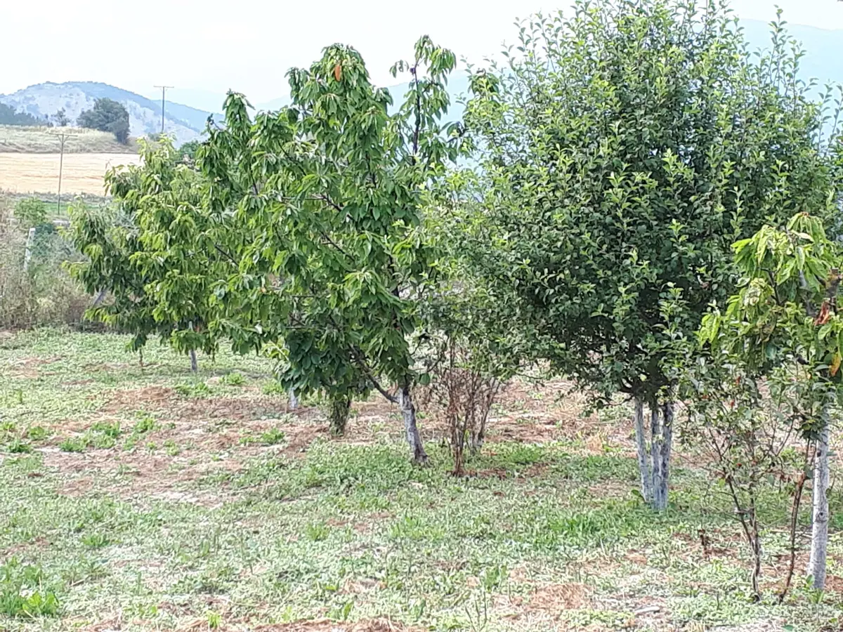 Bolu Mudurnu Dolayüz 2+1 Satılık Müstakil Ev - 19