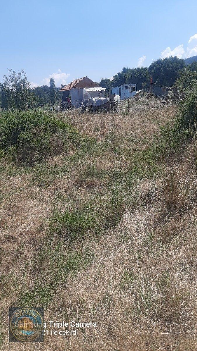 Öztülü Emlak'dan: Elmayurtta Satılık Kupon Yer - 3