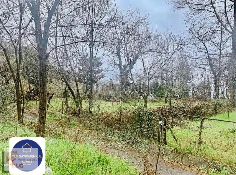 Satılık Denize Oto Yola Sıfır Arsa - 6