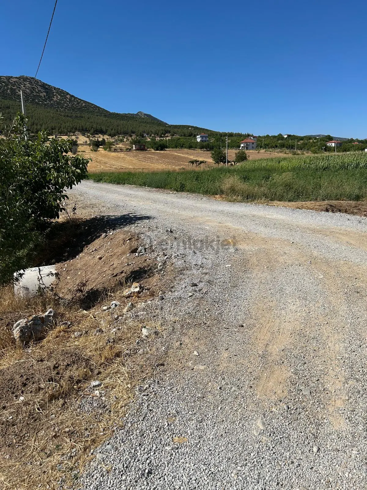 Altun’dan Satılık 6 Dönüm Ceviz Bahçesi Ve 70 M2 Ruhsatlı Ev! - 8